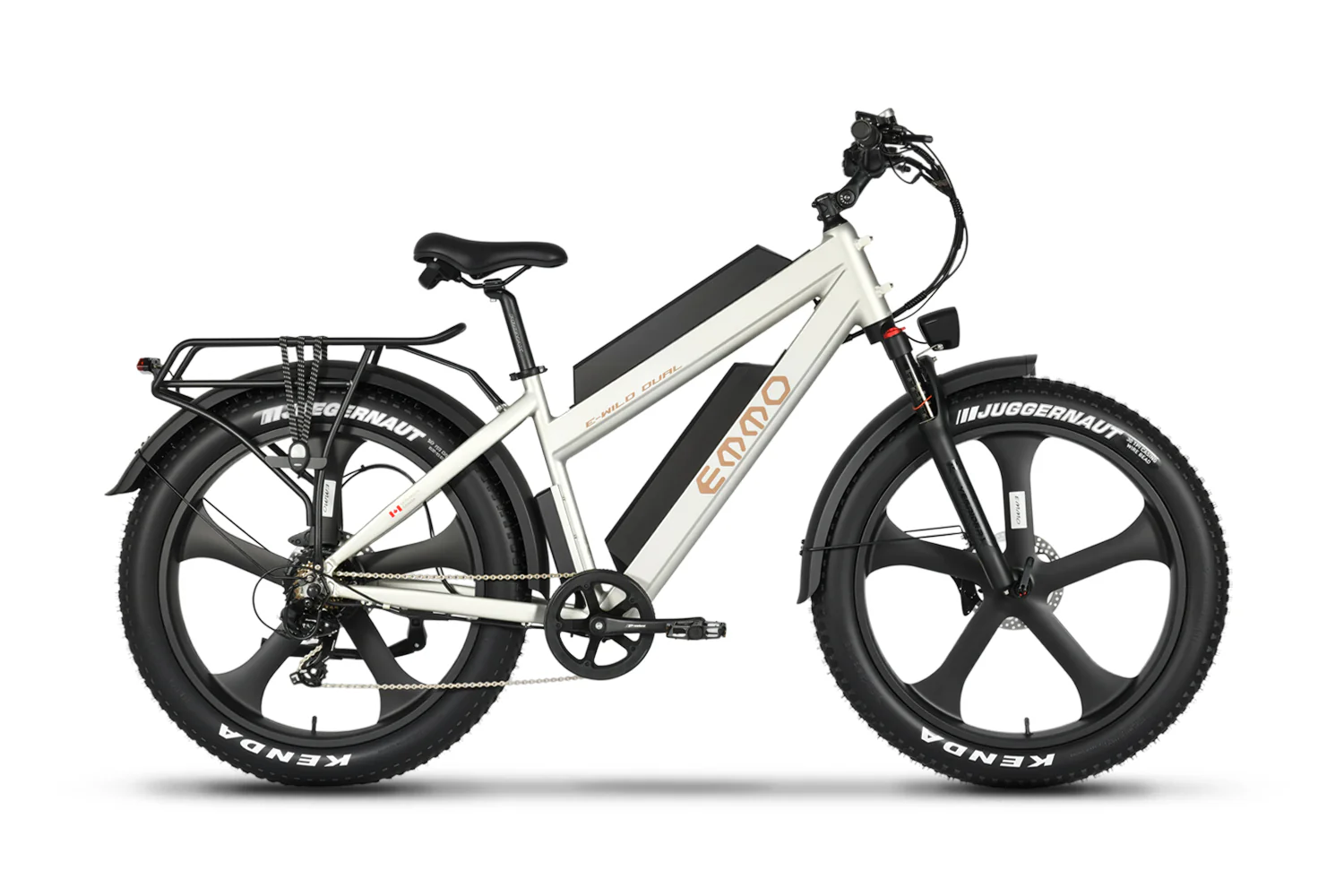 E-Wild Dual Ebike